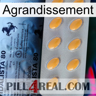 Enlargenexx 44